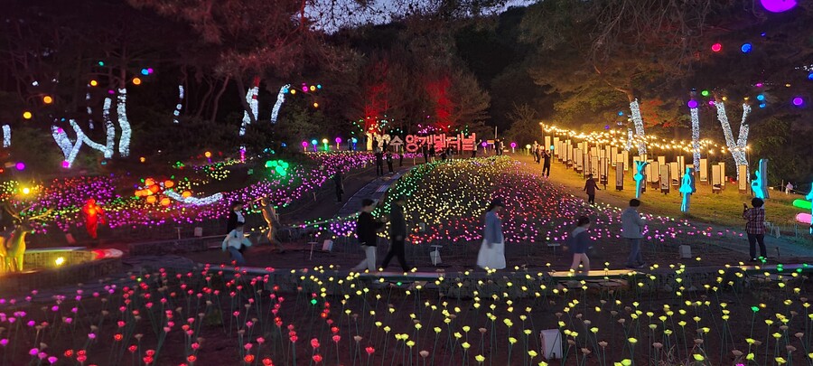 일본 여자친구와 경북,강원, 충북여행 2023년 여행_15.jpg