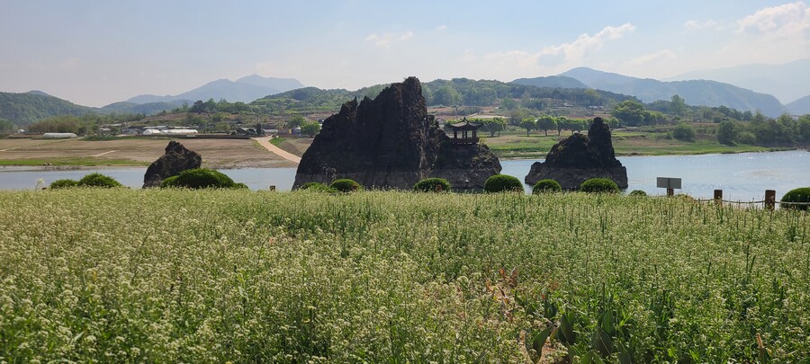 일본 여자친구와 경북,강원, 충북여행 2023년 여행_17.jpg