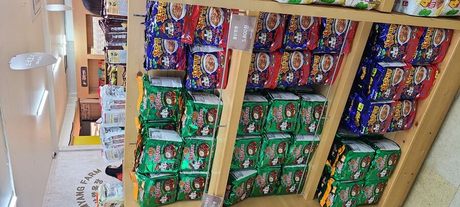 일본 여자친구와 경북,강원, 충북여행 2023년 여행_80.jpg