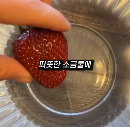 [혐] 딸기에 있는 하얀 털의 비밀_10.jpg