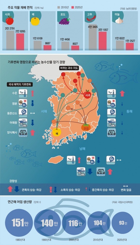 기후변화속에서 한국에 허락된 유일한 과일_2.jpeg