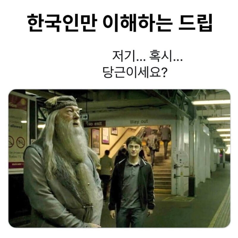 한국인만 이해하는 드립