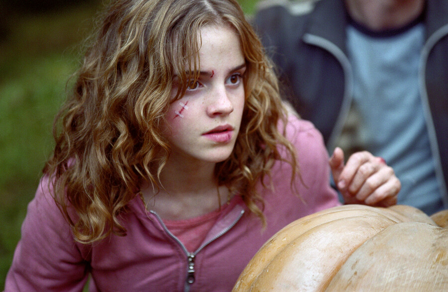 해리포터) 스네이프가 해리론헤르에게 쳐맞고 뻗어버린 사연_6.jpg