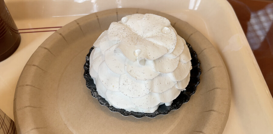 닌텐도월드! 유니버셜스튜디오재팬 (일본관서지역 2천킬로 자동차 여행 -2 )_24.png