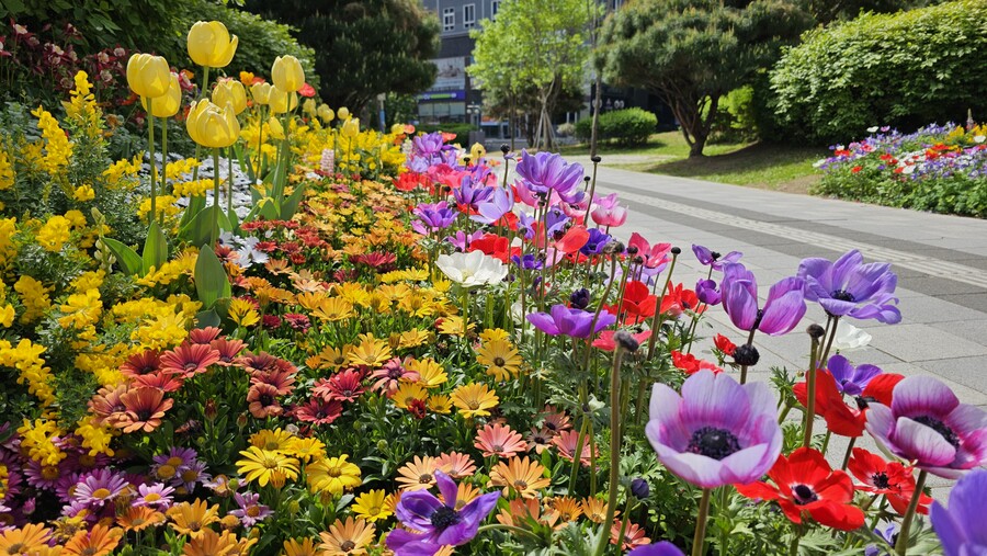 갤럭시 S23 울트라로 찍어봤던 사진들입니다.(스압)_22.jpg