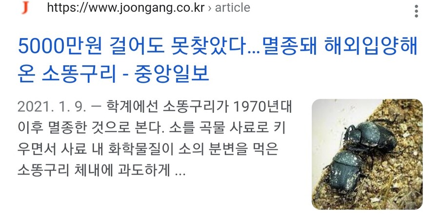 의외로 한국에서 멸종된 동물_1.jpg