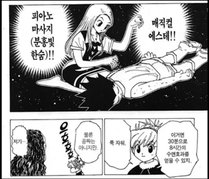 헌터헌터)올 서폿 능력의 여캐들 특징_1.jpeg