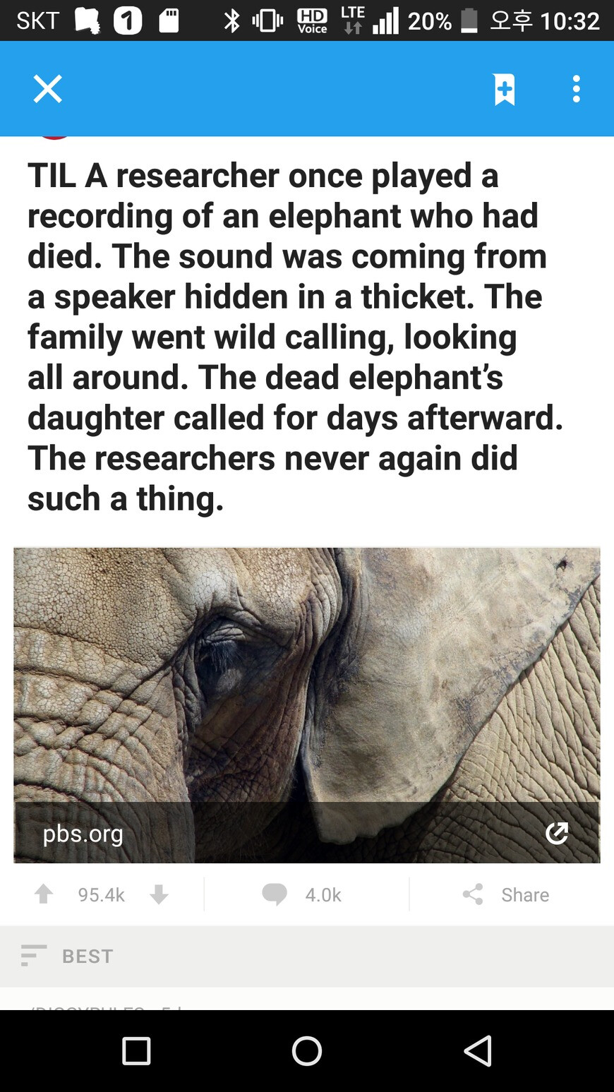 동물도 슬픔을 느끼는지 실험한 연구원들_1.png