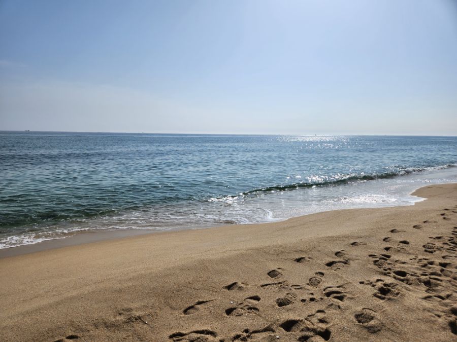 지난 주말 강릉에 놀러가서 찍은 사진!_4.jpg