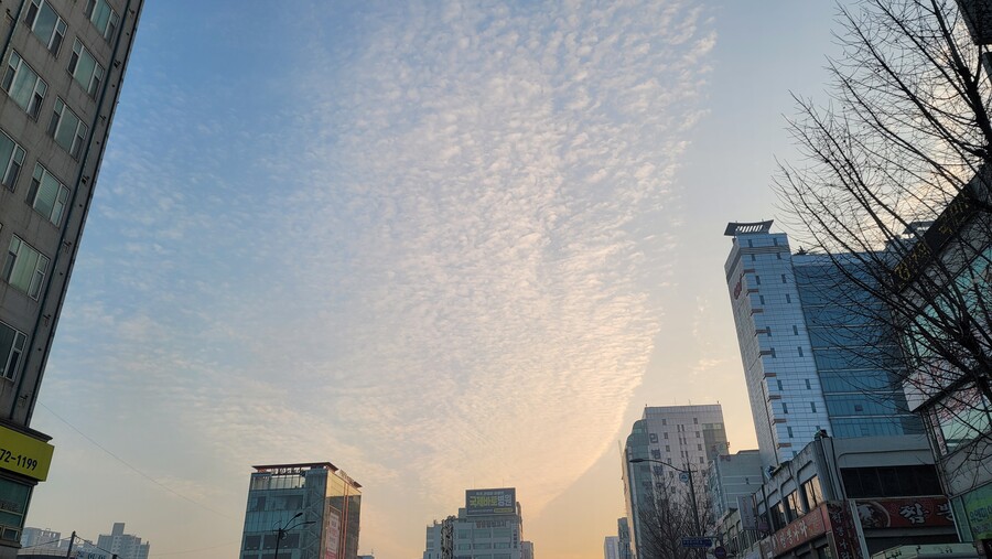 폰카 10장 랜덤 올려봐욤_4.jpg