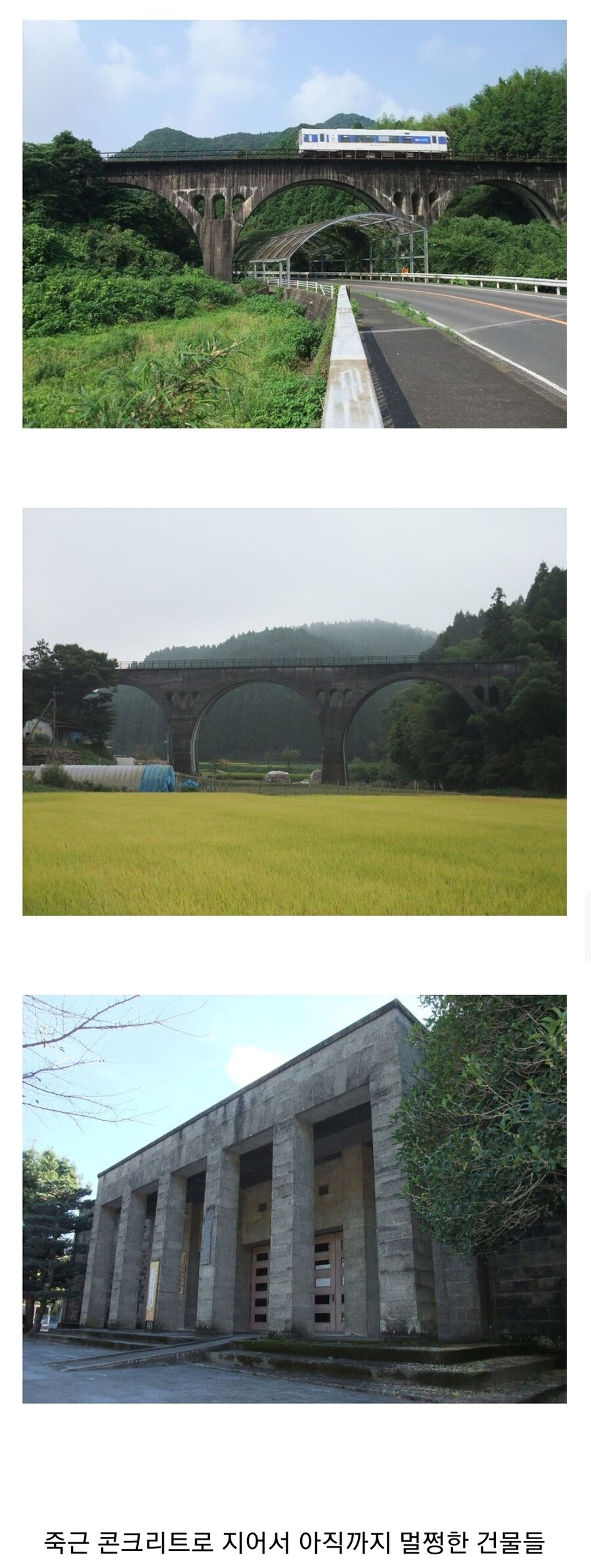 죽근 콘크리트 공법에 대해.araboja_5.jpg