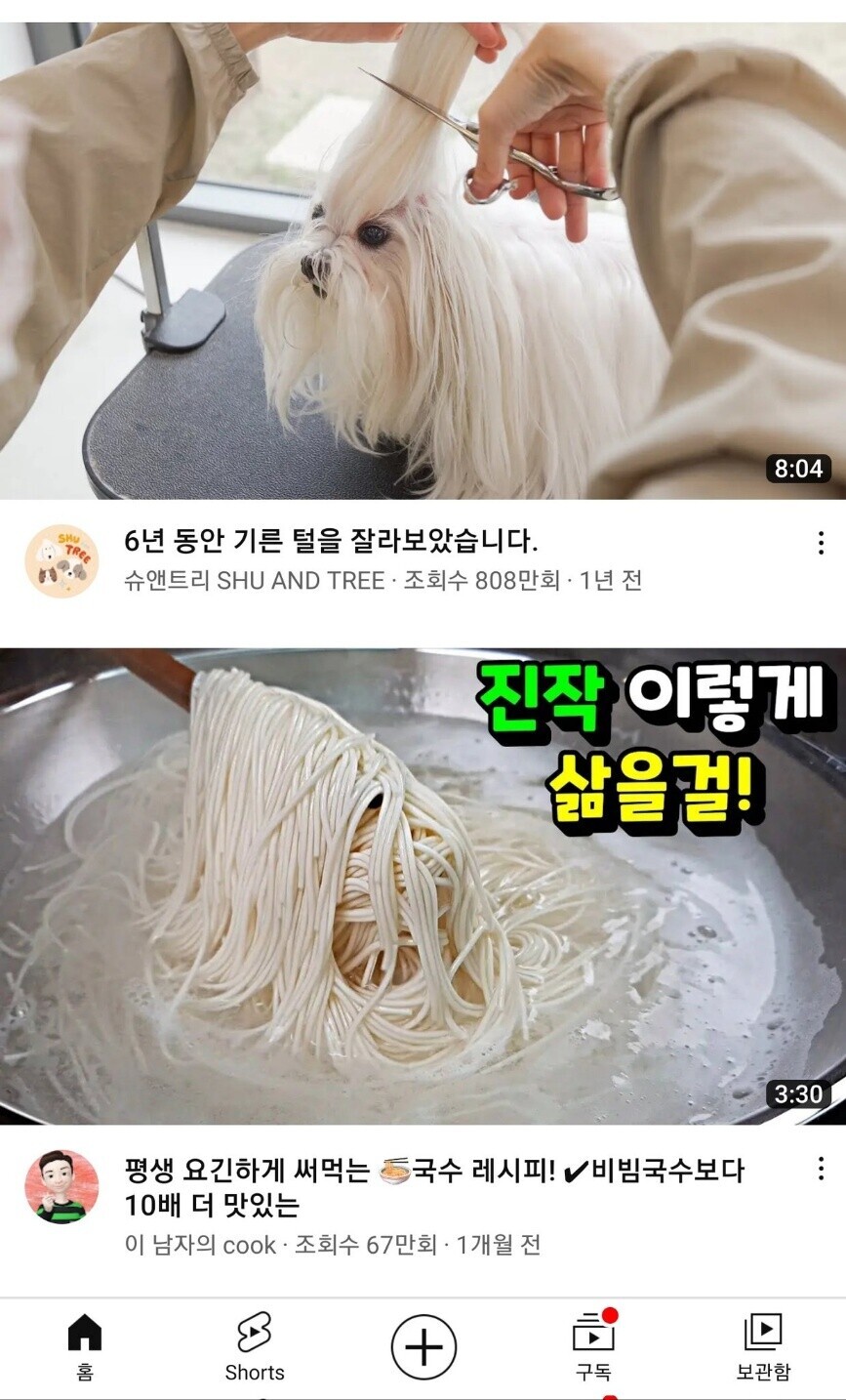 충격) 유투브에서 난리난 보신탕 국수_1.jpg