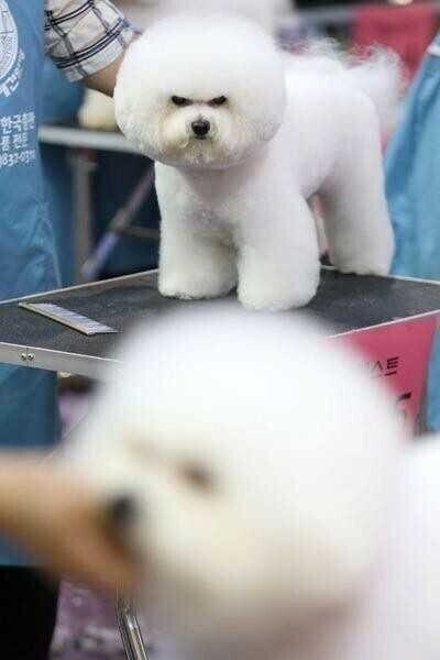 언니! 무조건 저년보다 이쁘게 해주세요_1.jpg