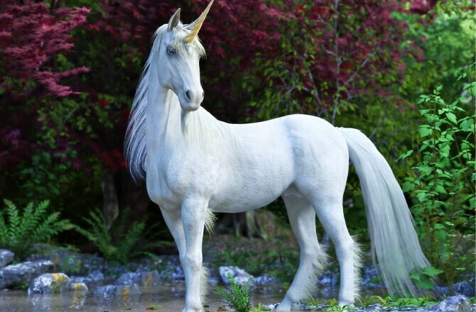 과학 유머))고생물학으로 따져보니 가능한 동물 and 불가능한 동물_4.png