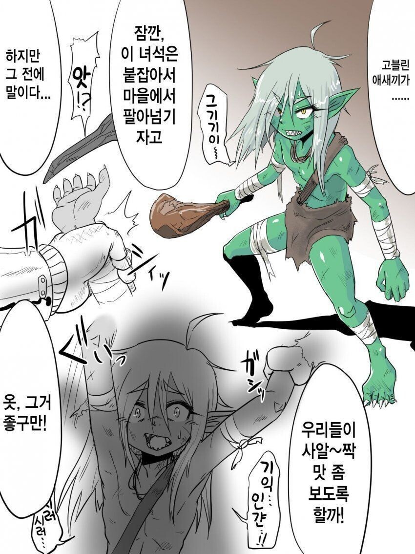 고블린)피폐) 수세기에 걸친 이종족 여성 강.ㄱ.교배_2.jpg