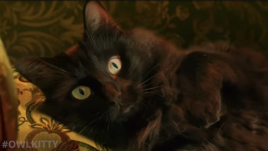 타이타닉) 사회적 장벽을 넘어서는 아름다운 사랑 이야기_15.jpg