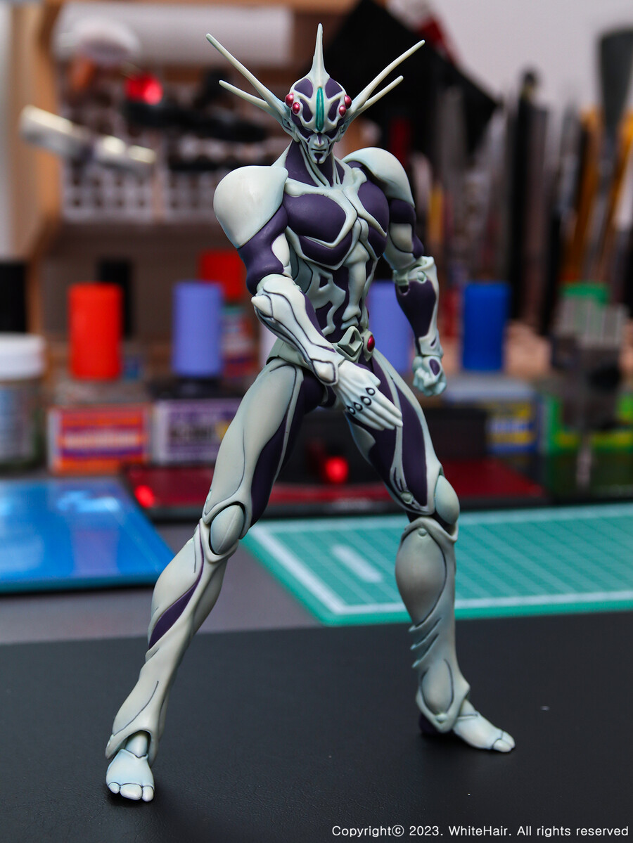 맥스팩토리 BFC 무라카미_14.jpg