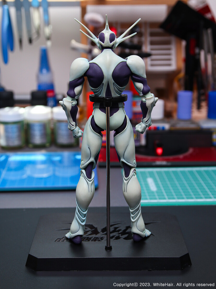 맥스팩토리 BFC 무라카미_17.jpg