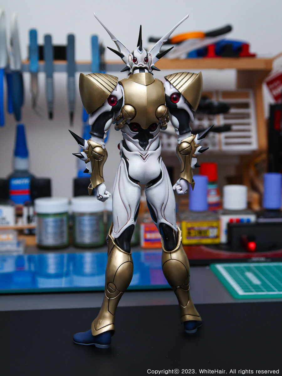 맥스팩토리 BFC 이마카람 미라빌리스_4.jpg