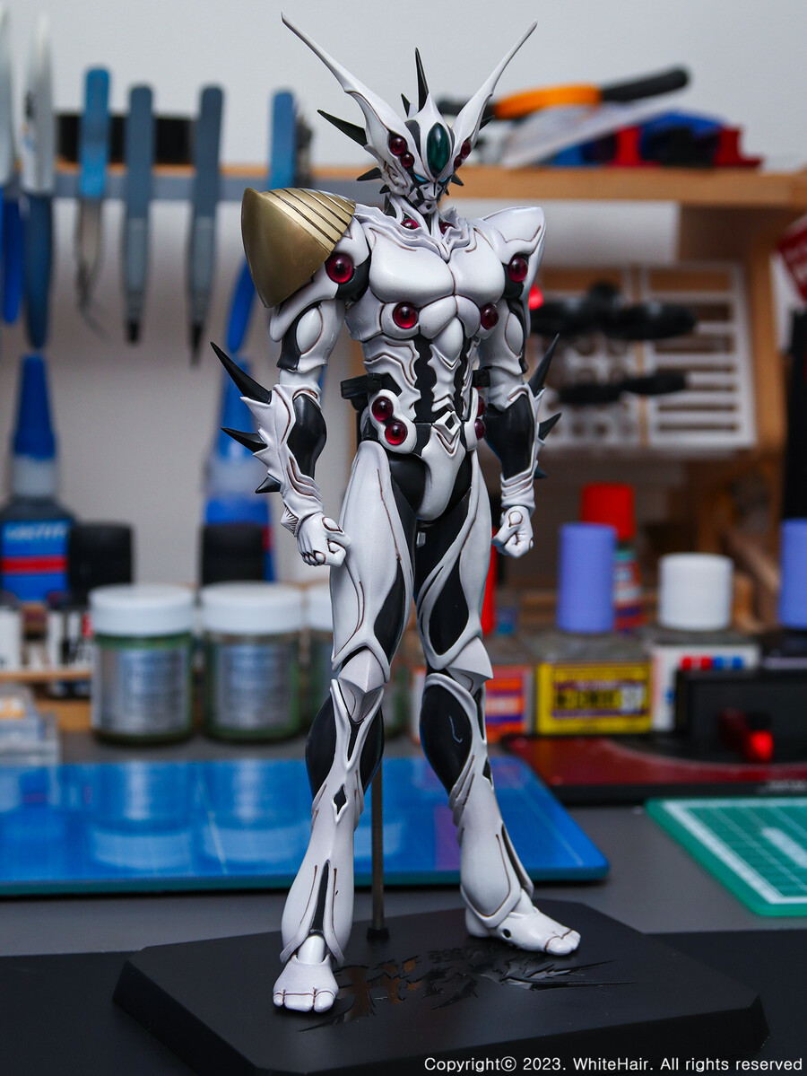 맥스팩토리 BFC 이마카람 미라빌리스_10.jpg