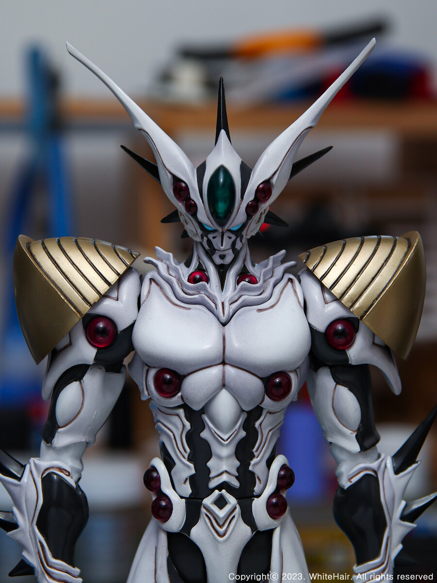 맥스팩토리 BFC 이마카람 미라빌리스_15.jpg