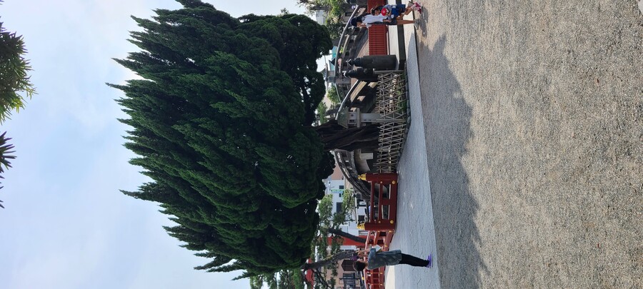 5박6일 도쿄 여행기 3부. 도쿄 영상은 인스타 031_sang 확인 가능해요_31.jpg