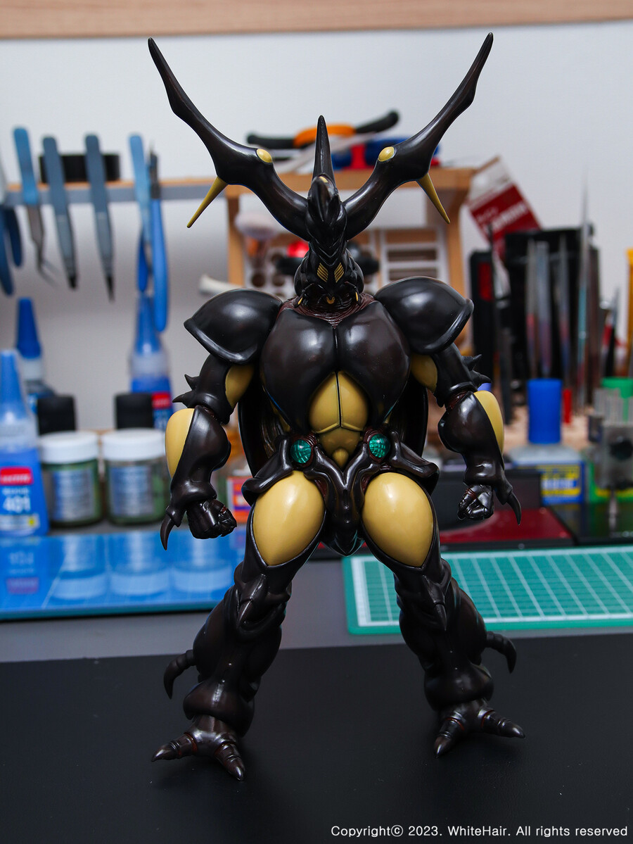 MaxFactory BFC 맥스팩토리 젝토르_8.jpg