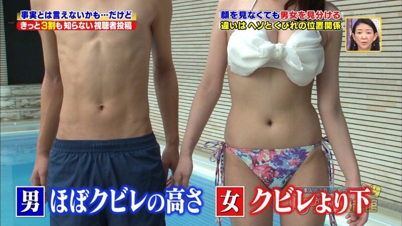 성별에 따른 배꼽 위치 차이.jpg_1.jpg