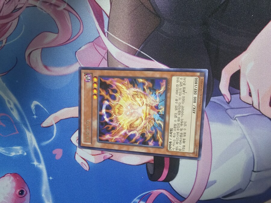 이번에 새로나온 와일드 서바이버즈 4통깡(+알파)_3.jpg