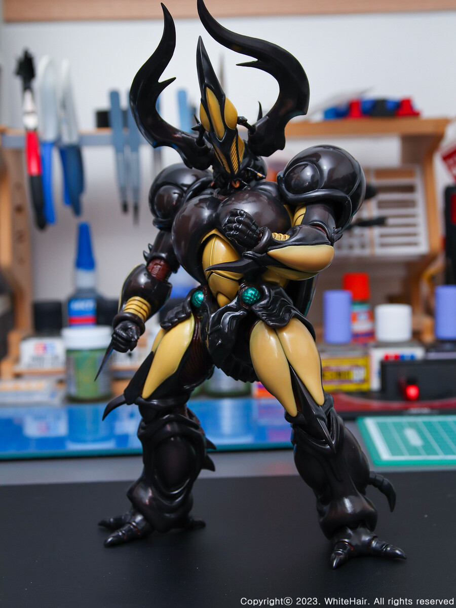 MaxFactory BFC 맥스팩토리 네오 젝토르_17.jpg