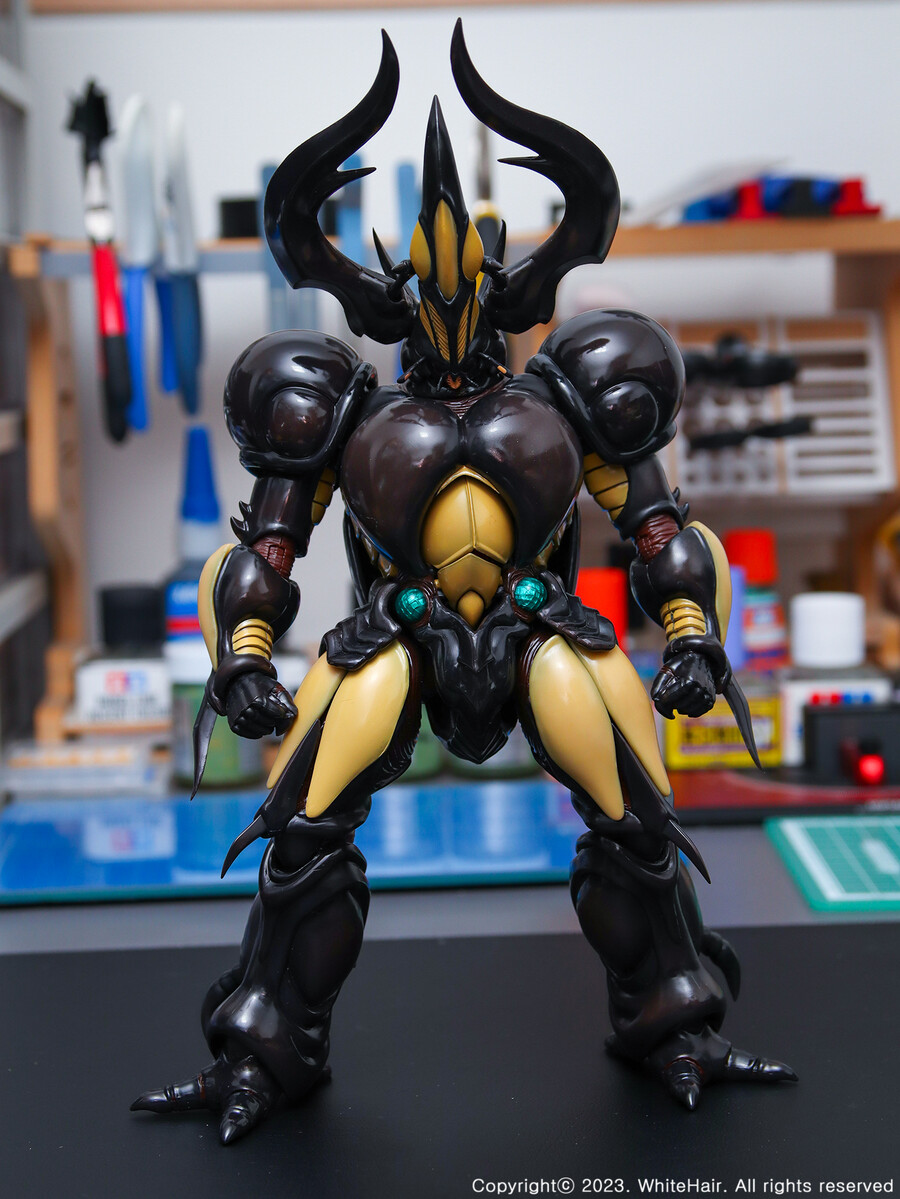 MaxFactory BFC 맥스팩토리 네오 젝토르_18.jpg