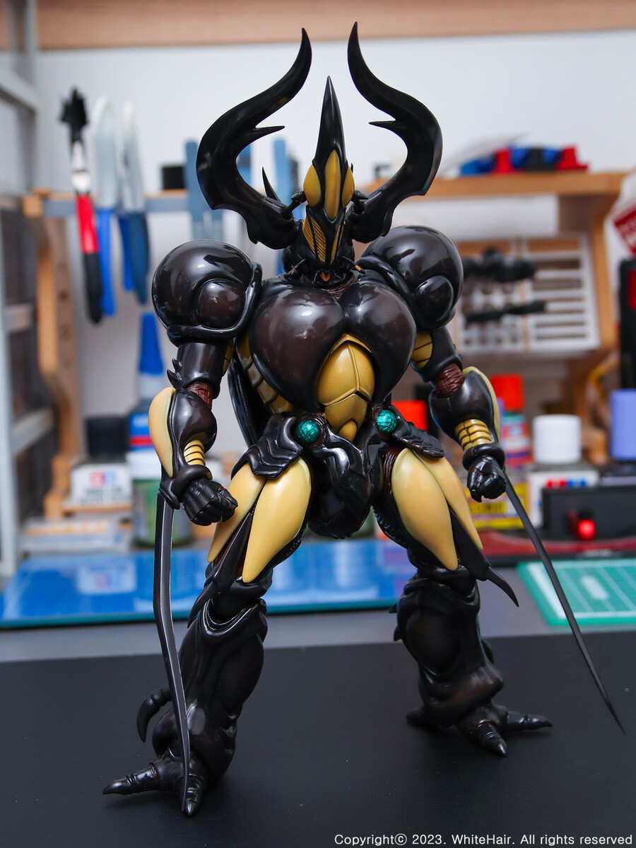 MaxFactory BFC 맥스팩토리 네오 젝토르_19.jpg