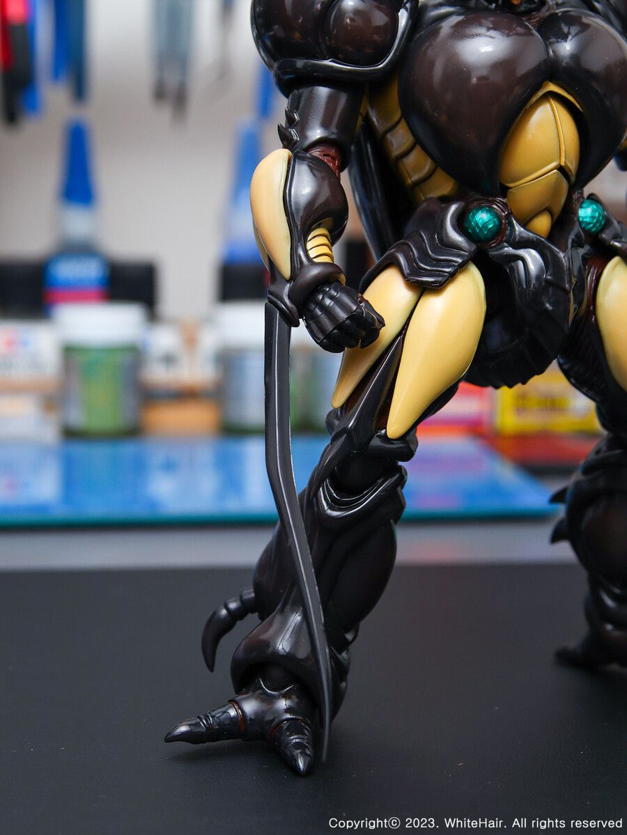 MaxFactory BFC 맥스팩토리 네오 젝토르_20.jpg