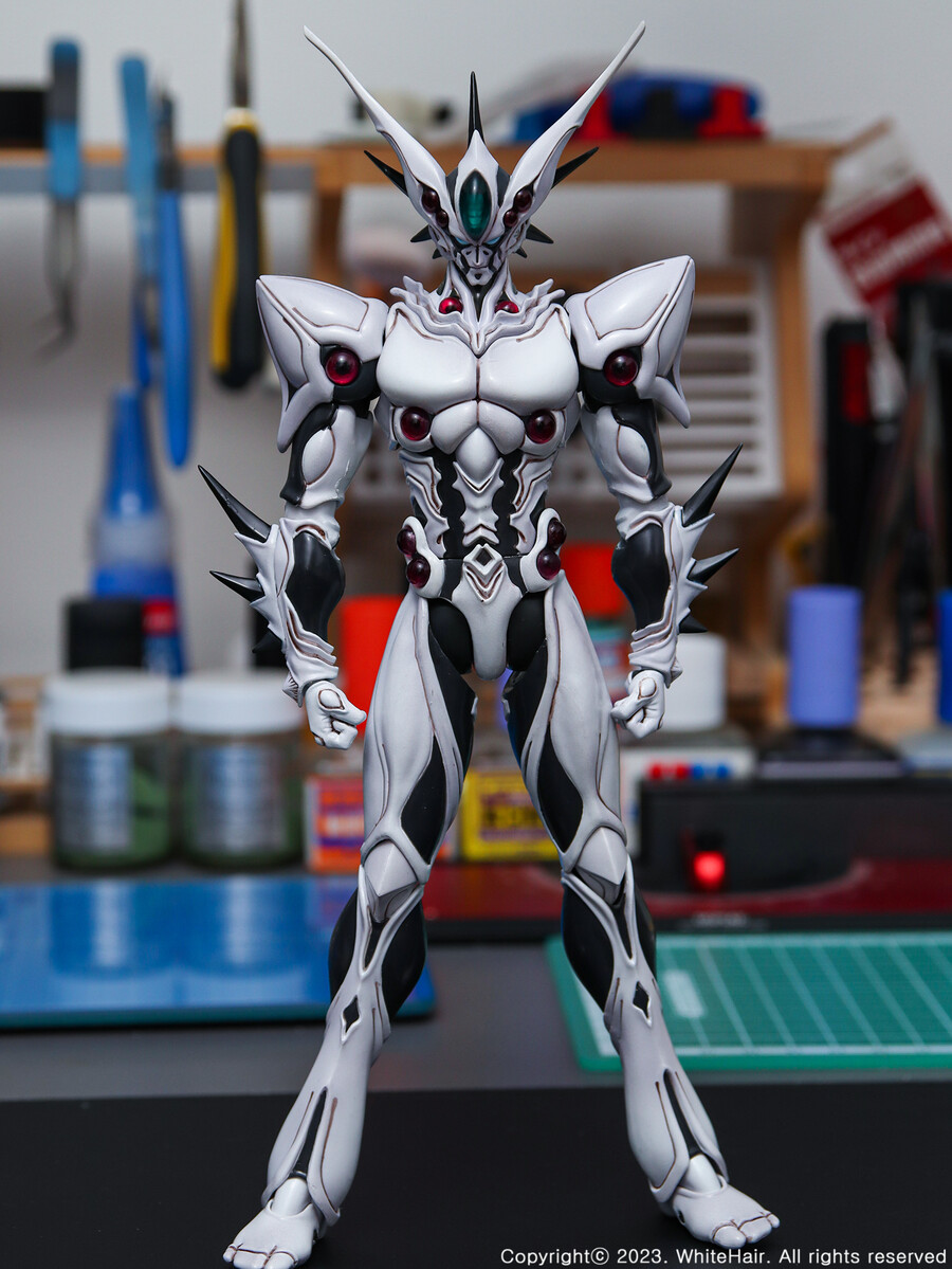 MaxFactory BFC 맥스팩토리 이마카람 미라빌리스 [조아로드]_7.jpg