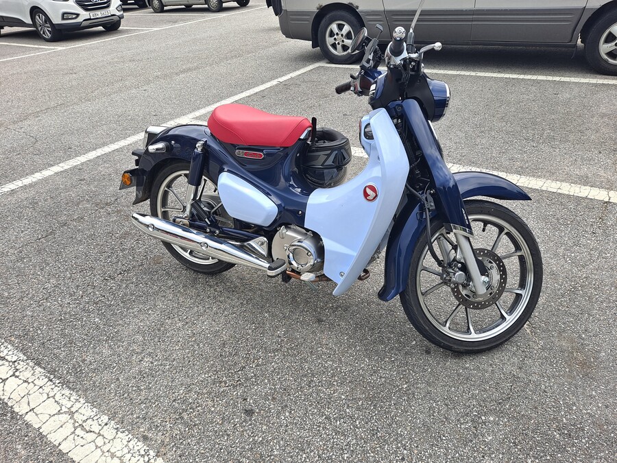 슈퍼커브)를 작정하고 승용으로 만들면 잘팔리지않을까?_2.jpg