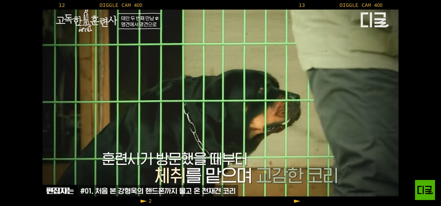 강형욱)도 놀란 맹명견_7.png