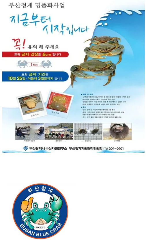 최근에 한반도로 유입된 외래종 근황.jpg_2.png