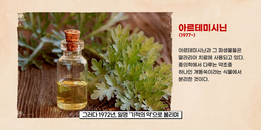 고대 중국이 개쩌는 이유(feat.말라리아)_8.png