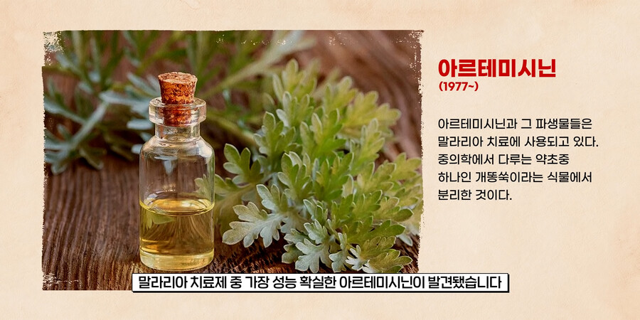 고대 중국이 개쩌는 이유(feat.말라리아)_9.png