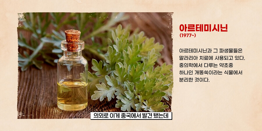 고대 중국이 개쩌는 이유(feat.말라리아)_10.png