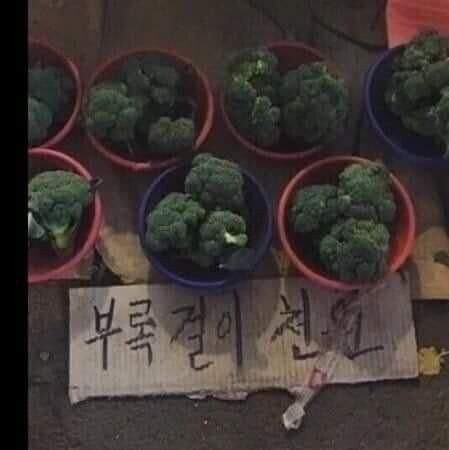 보리꼬리 브로커 브로뻐큐 모음_6.jpg