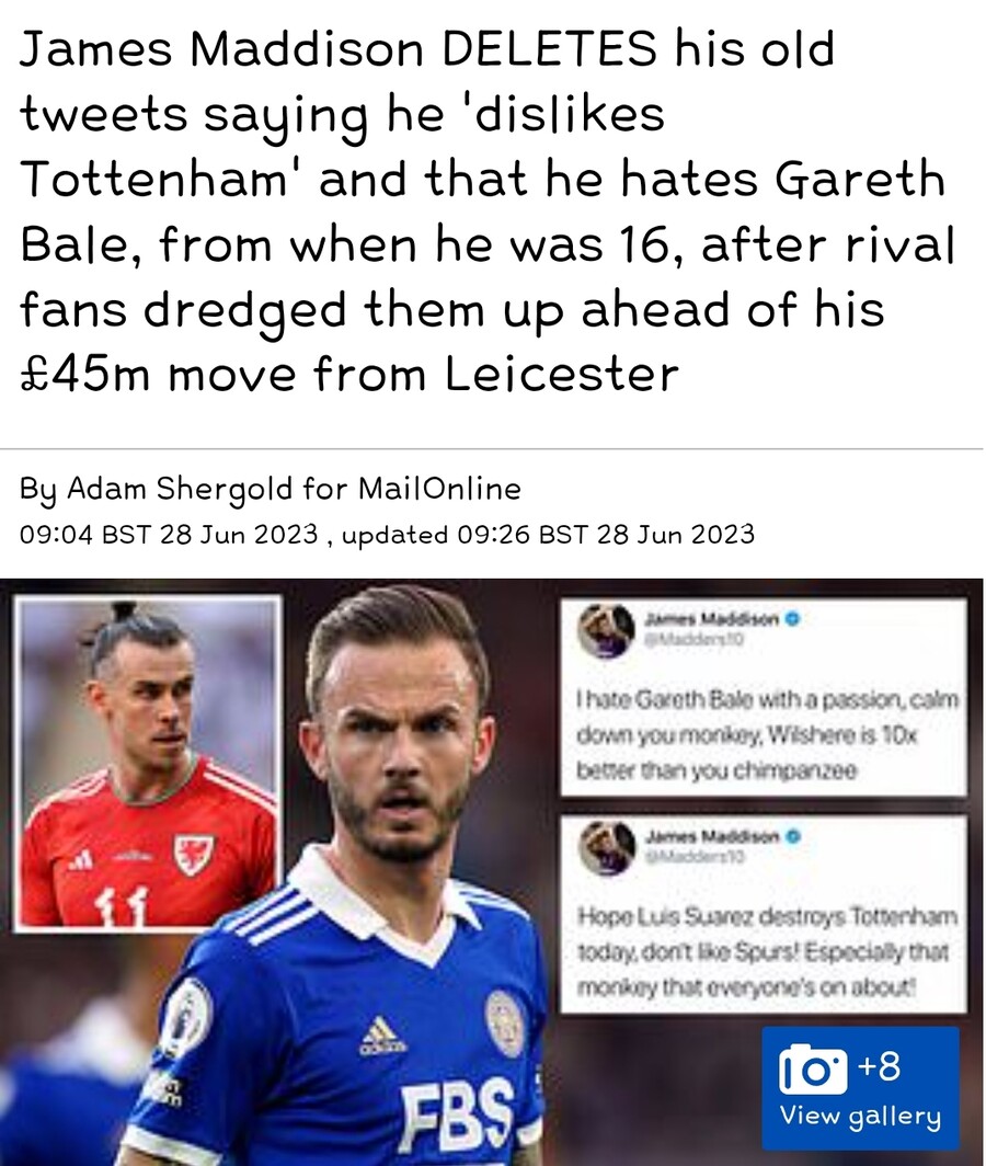 [데일리 메일] 메디슨 '베일 원숭이 비하, 토트넘이 싫어요' 트윗 삭제_1.jpg