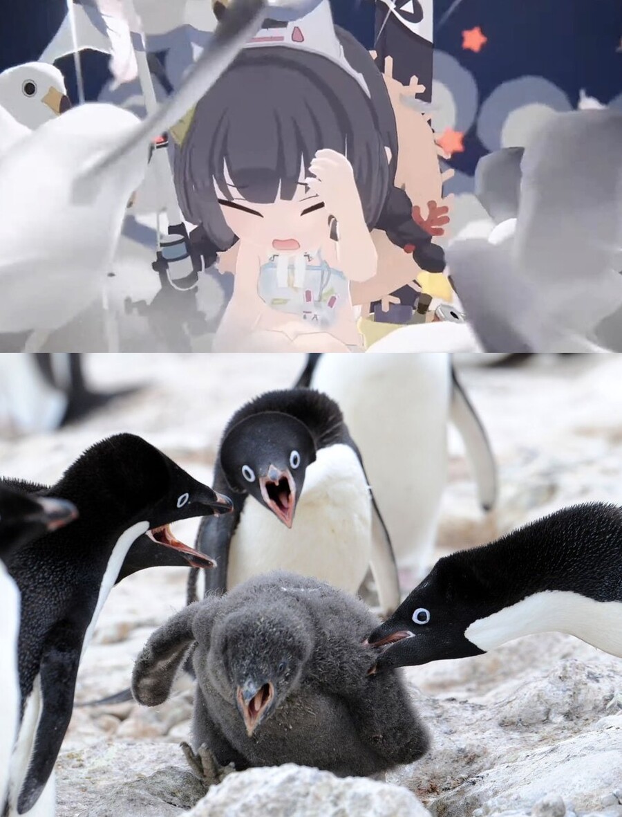 블루아카) 래빗소대 수영복 랜덤짤 4_16.jpg