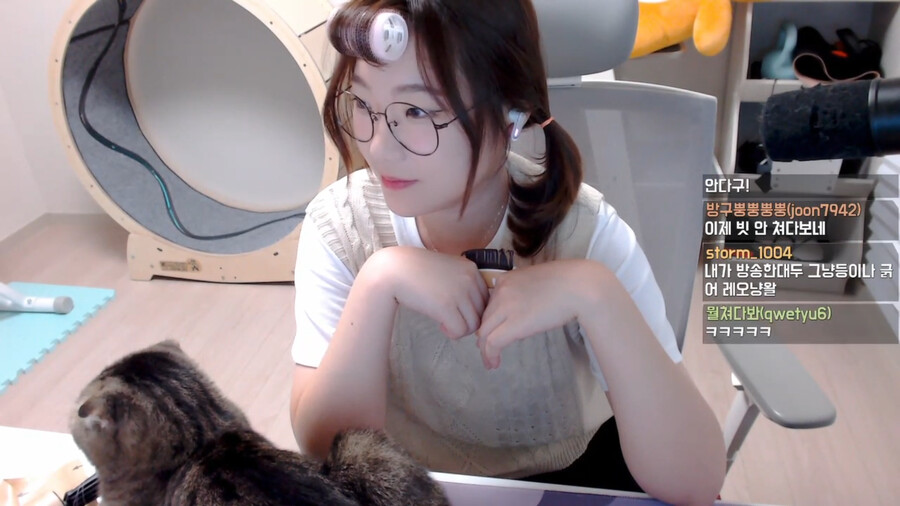 인방) 루시아: 고양이님 빨리 방송하게 내려가세용_2.png