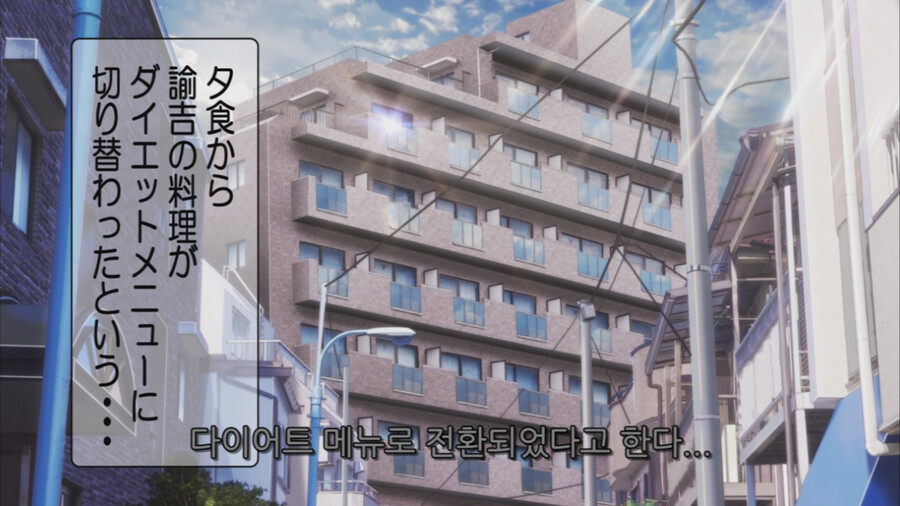 야무진 고양이는 오늘도 우울) 1화 건강관리_16.png