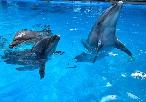 19)강한 짤 준비했다_1.jpg