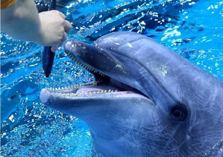 19)강한 짤 준비했다_2.jpg