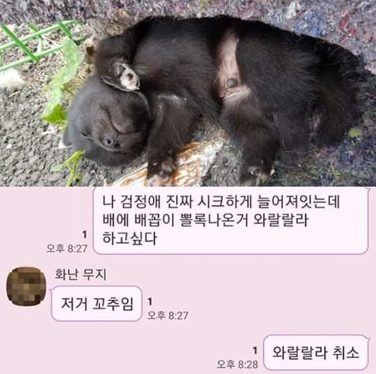 19) 이정도면 만족이 되냐??_1.jpeg