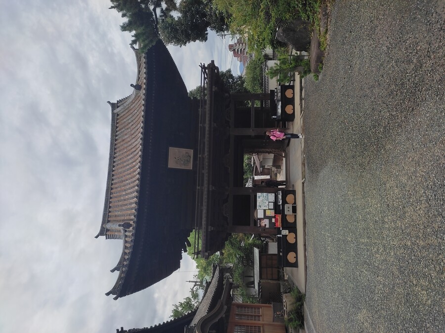 마츠야마 2_18.jpg