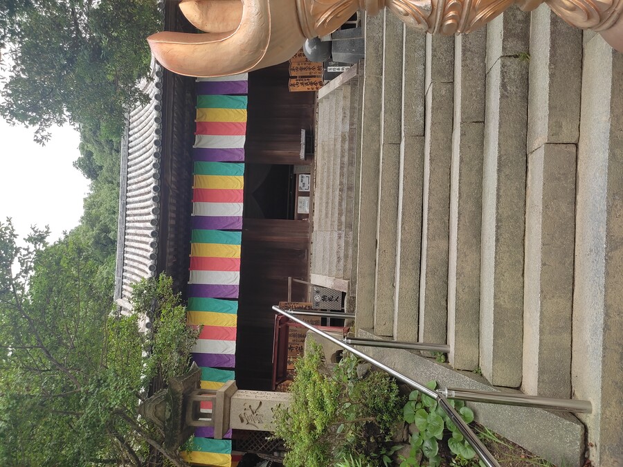 마츠야마 2_14.jpg